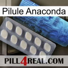 Anaconda Pill 34